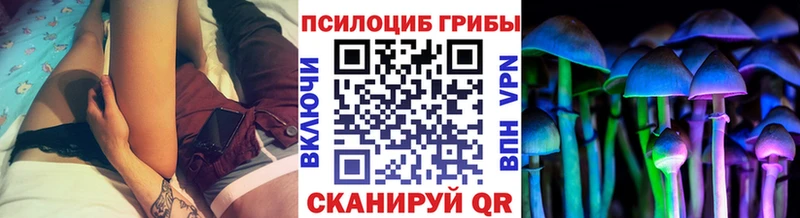 цена   Томмот  Псилоцибиновые грибы Magic Shrooms 